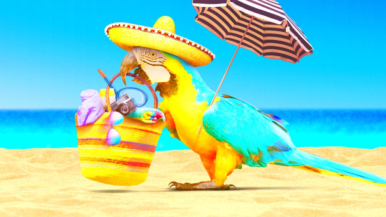 Customer Journey > So funktioniert die Kundenreise